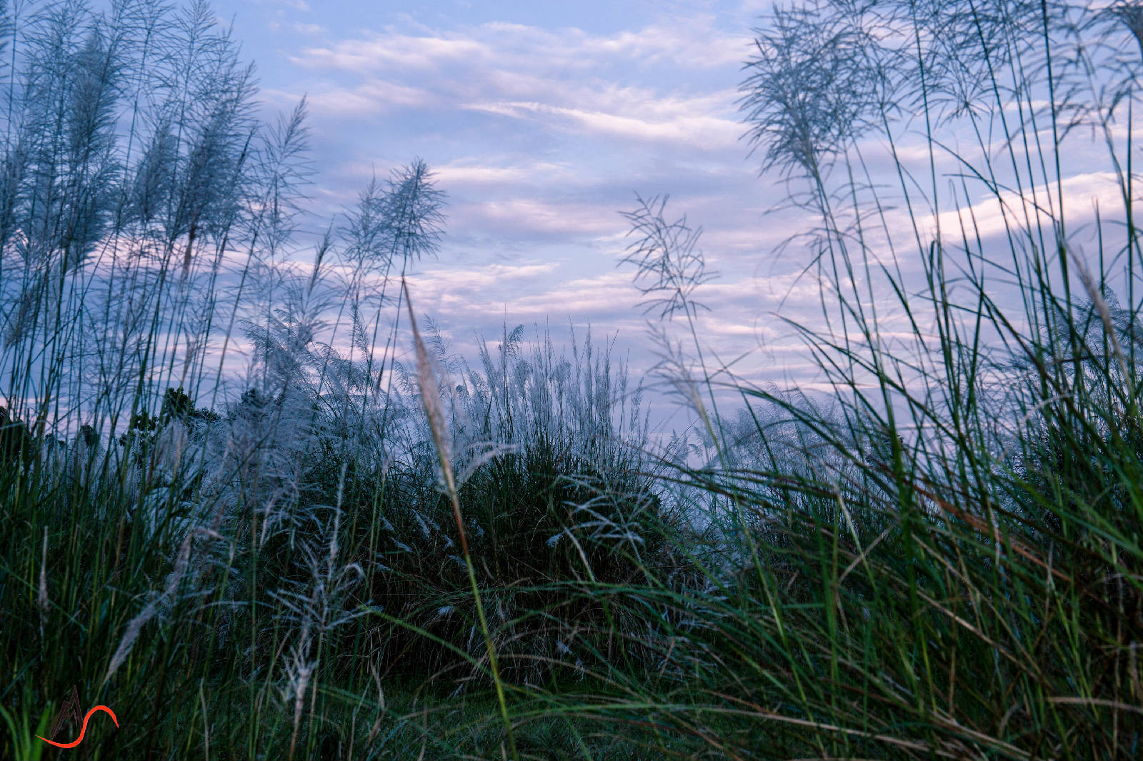085A3539_副本.jpg