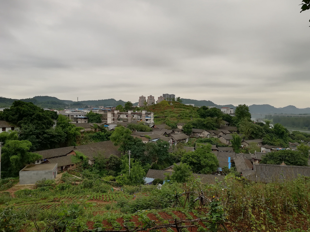 IMG_20180621_064835.jpg