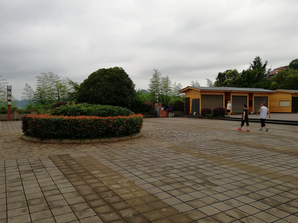 IMG_20180621_070737.jpg