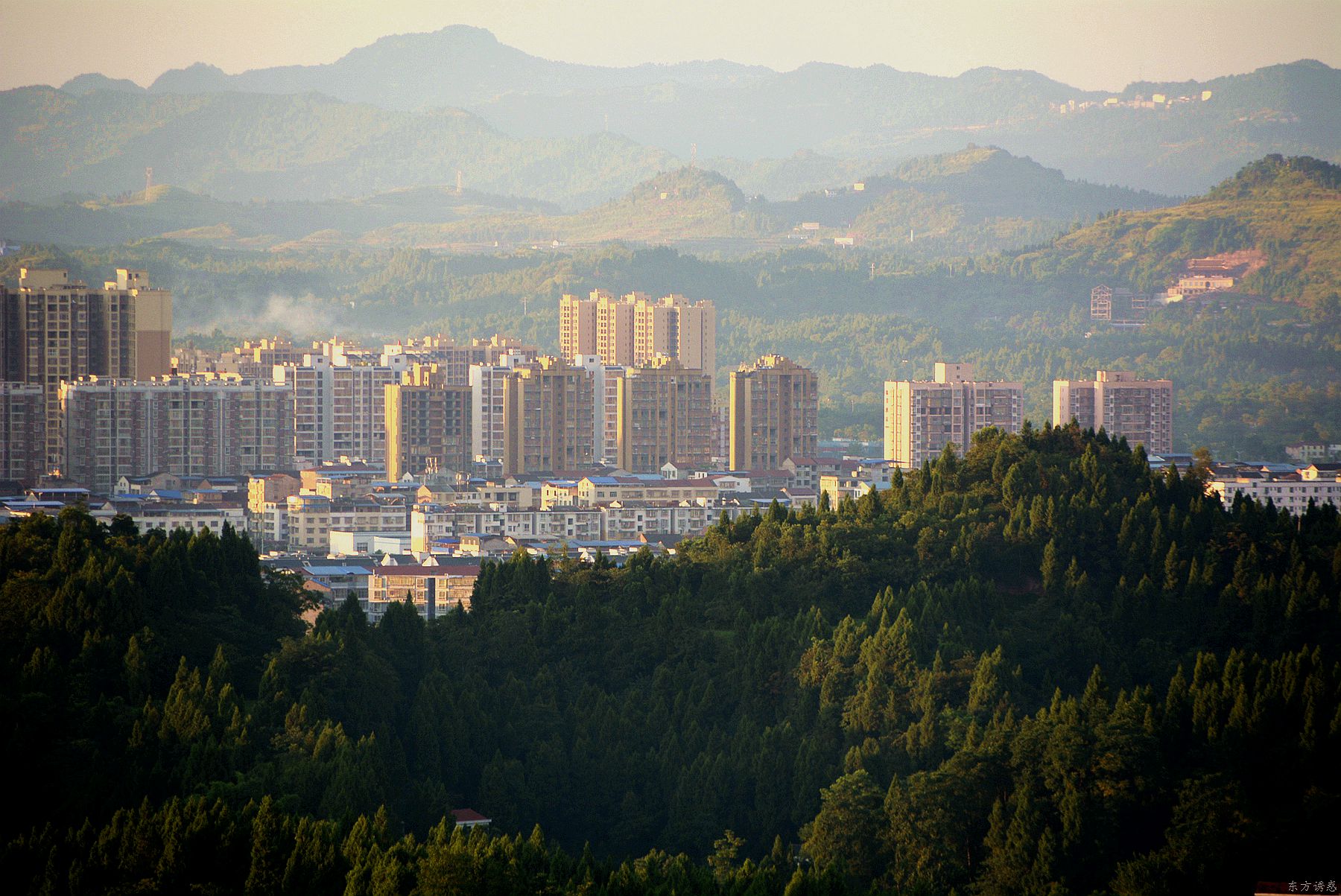 云雾50.jpg
