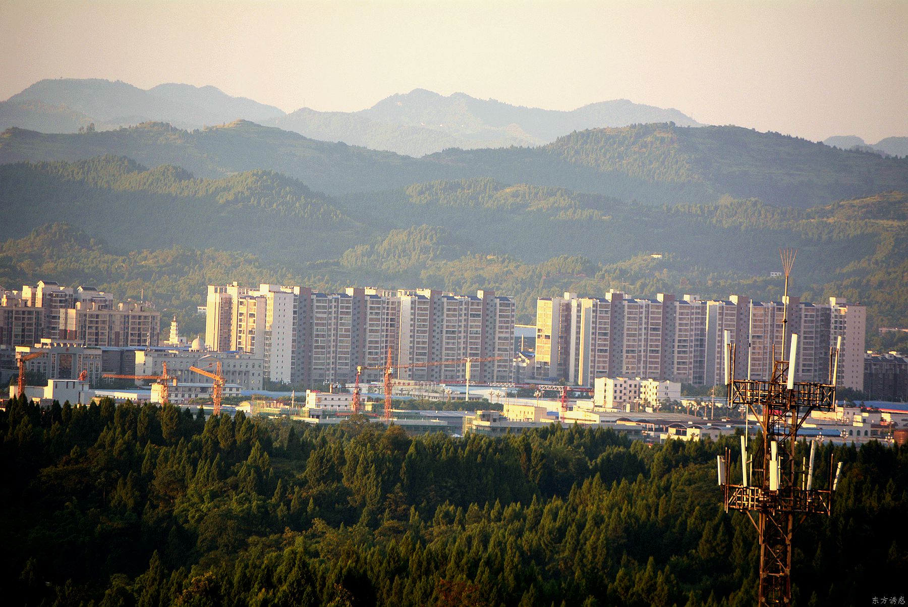 云雾51.jpg