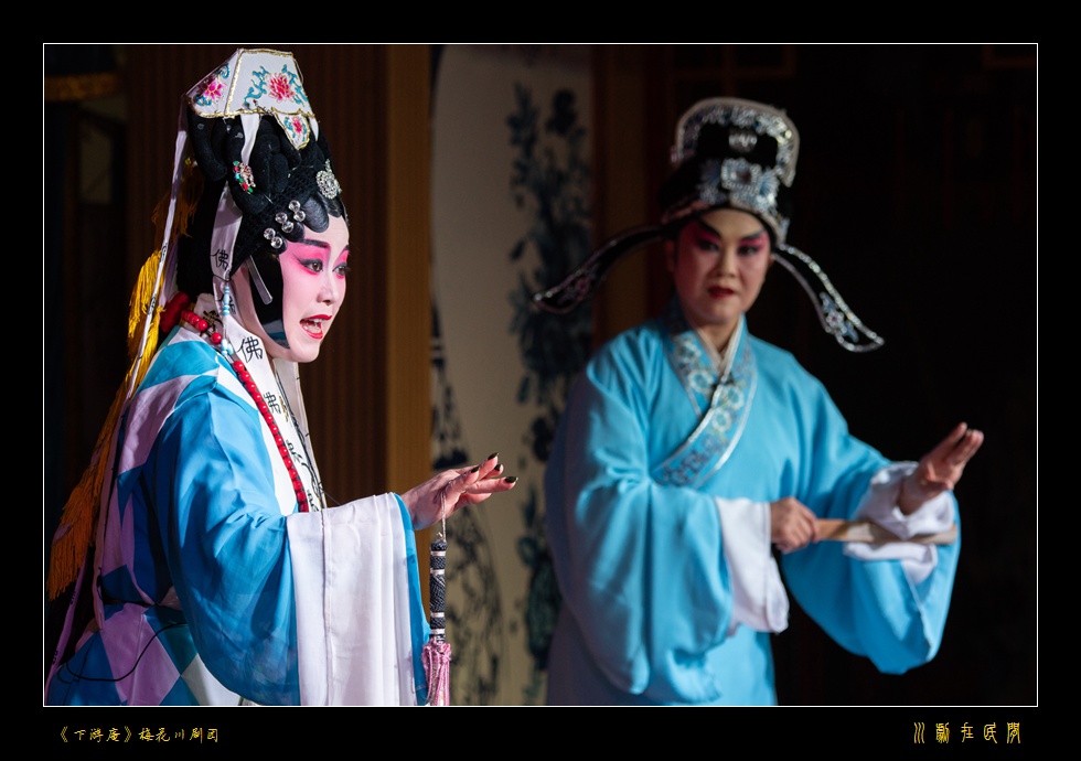 DSC_8696.jpg