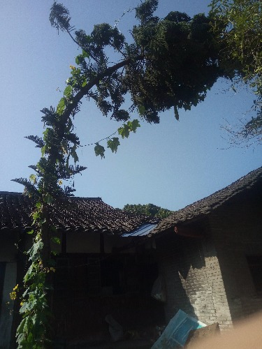 IMG20180820092324.jpg