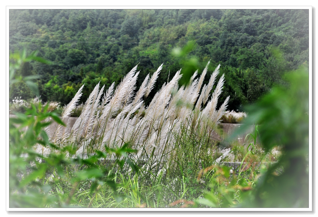 DSC_0344_副本.jpg