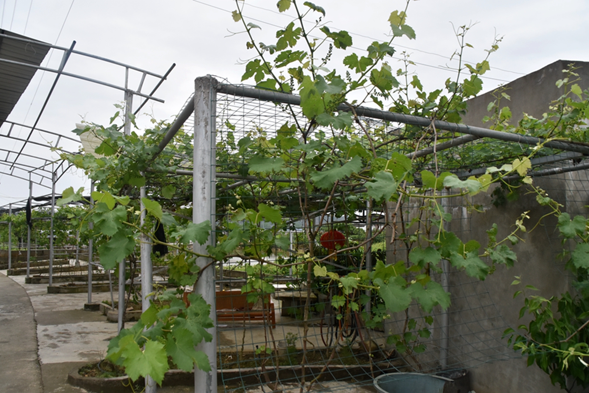 DSC_4893.jpg