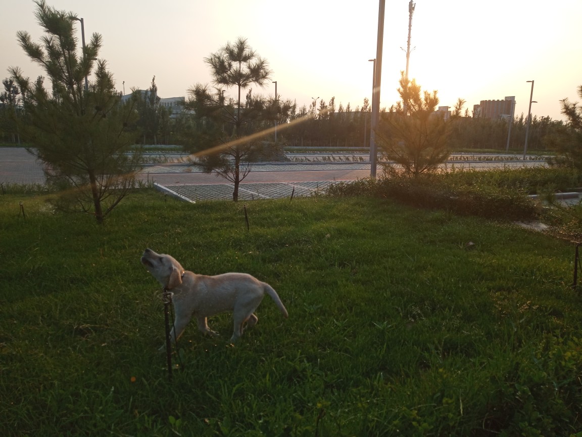 IMG_20180827_184626.jpg