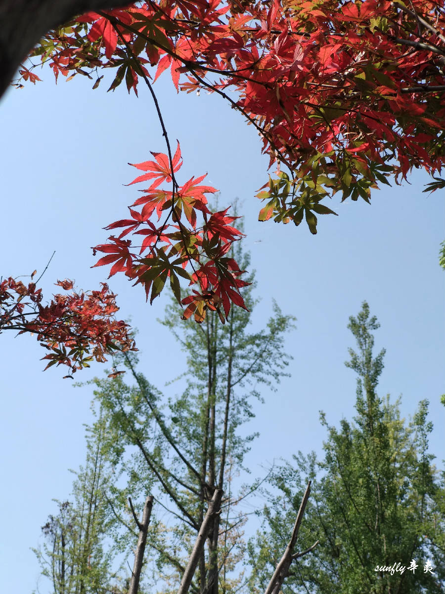 微信图片_20180824110728.jpg
