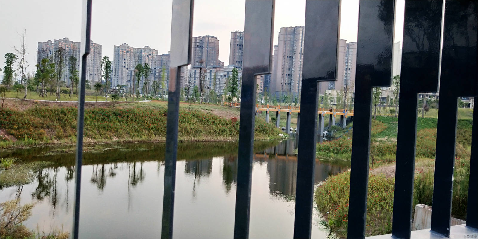 滨河公园75.jpg