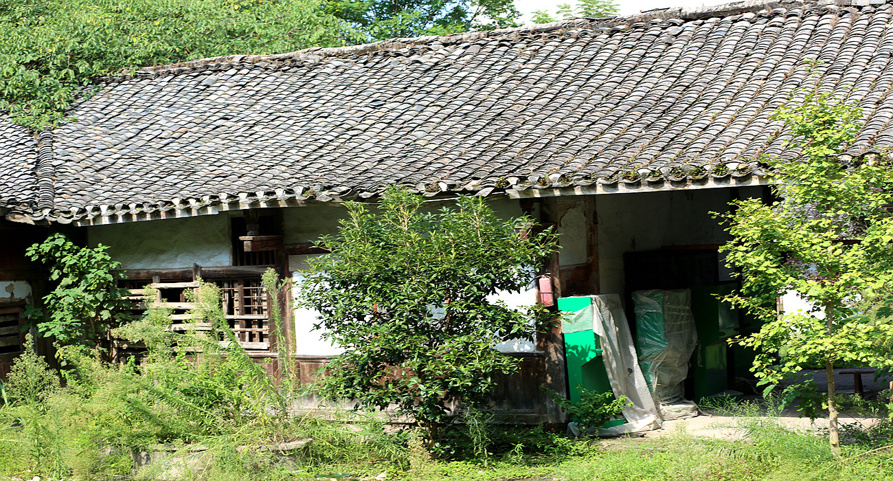 S98A4989_.jpg