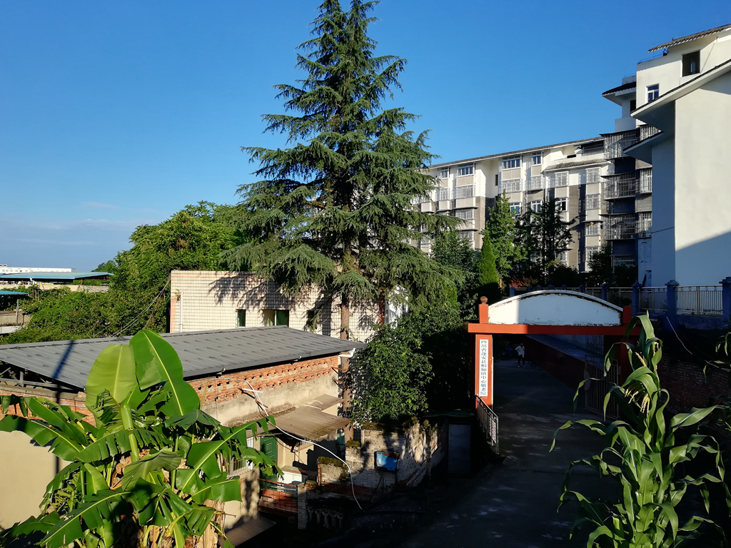 IMG_20180622_072337.jpg