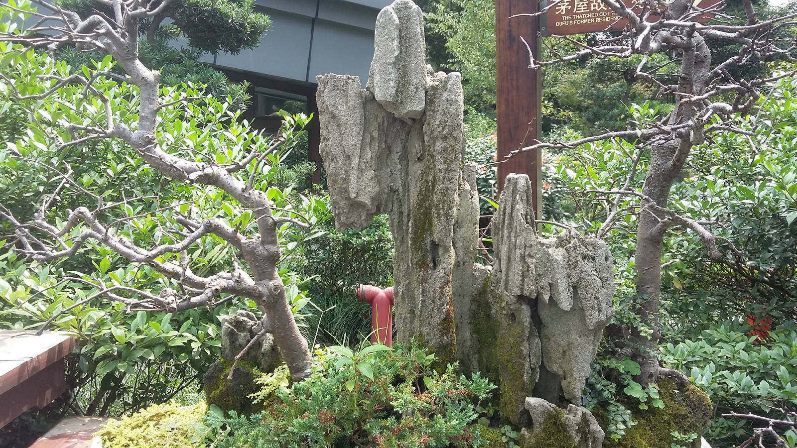 20180830_113100.jpg