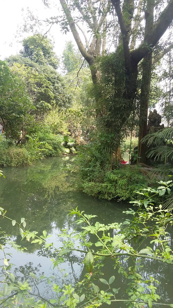 20180830_115813.jpg