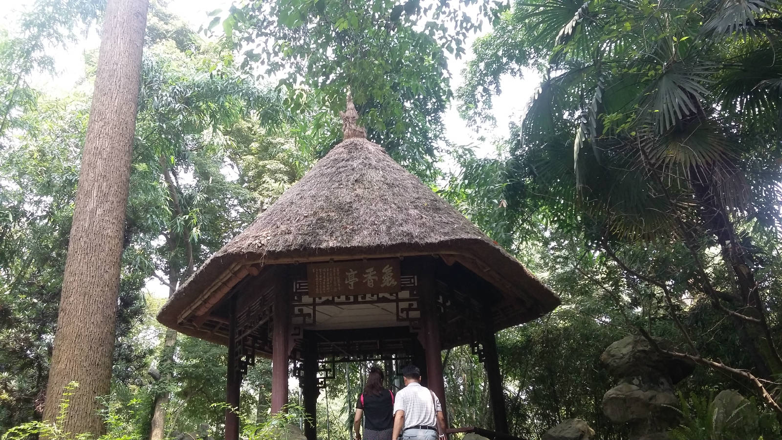 20180830_122052.jpg