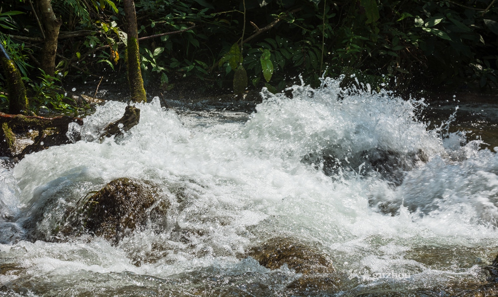 DSC_4665.jpg