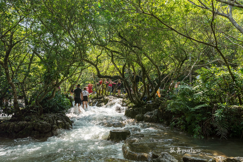 DSC_4678.jpg