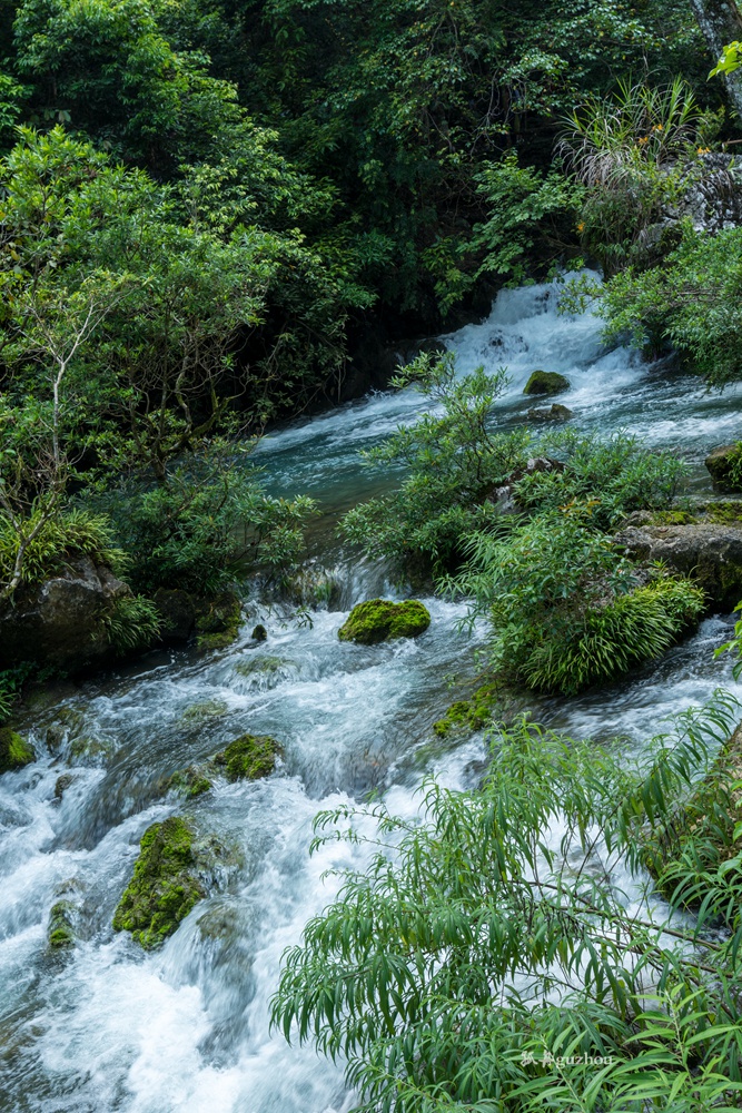 DSC_4688.jpg