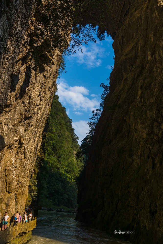 DSC_4765.jpg