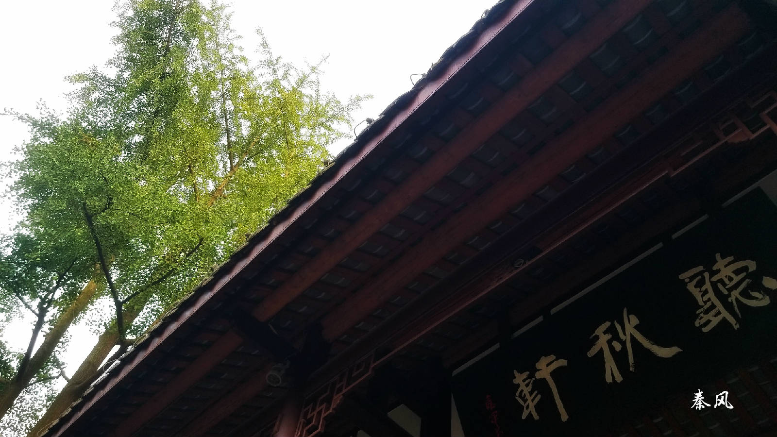 微信图片_20180904113645.jpg