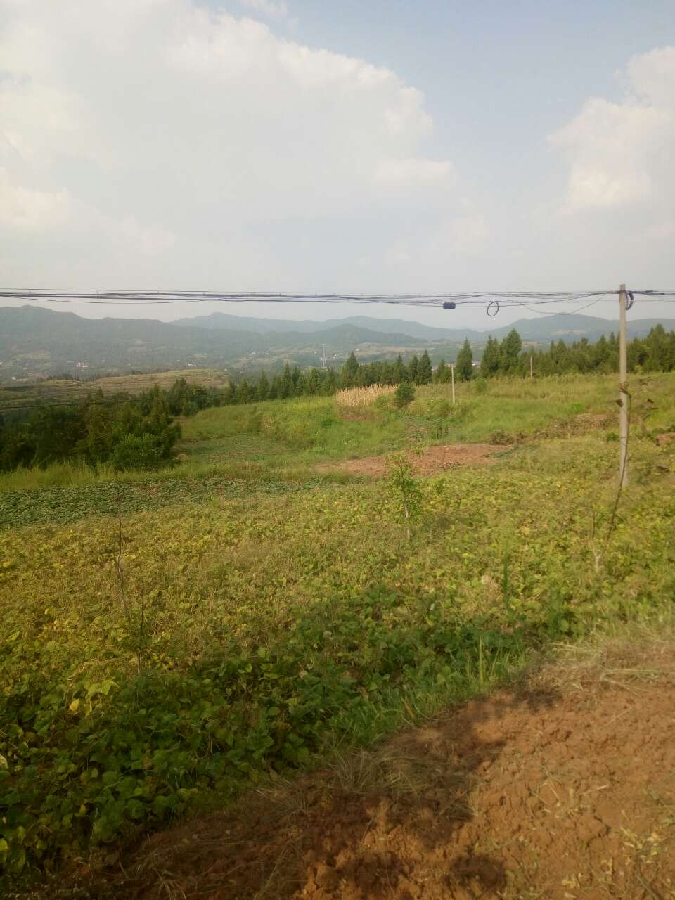20180904_6745079_1536066940914.jpg