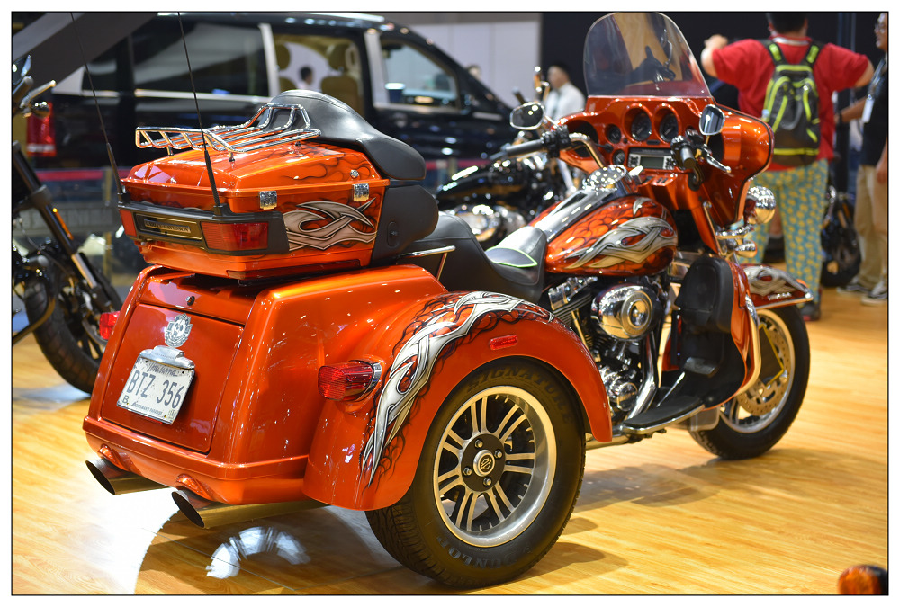 DSC_4573.jpg