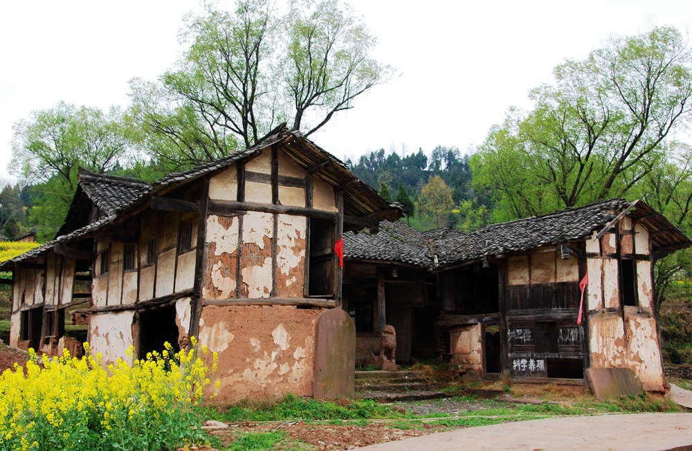 四川民居平房图片图片