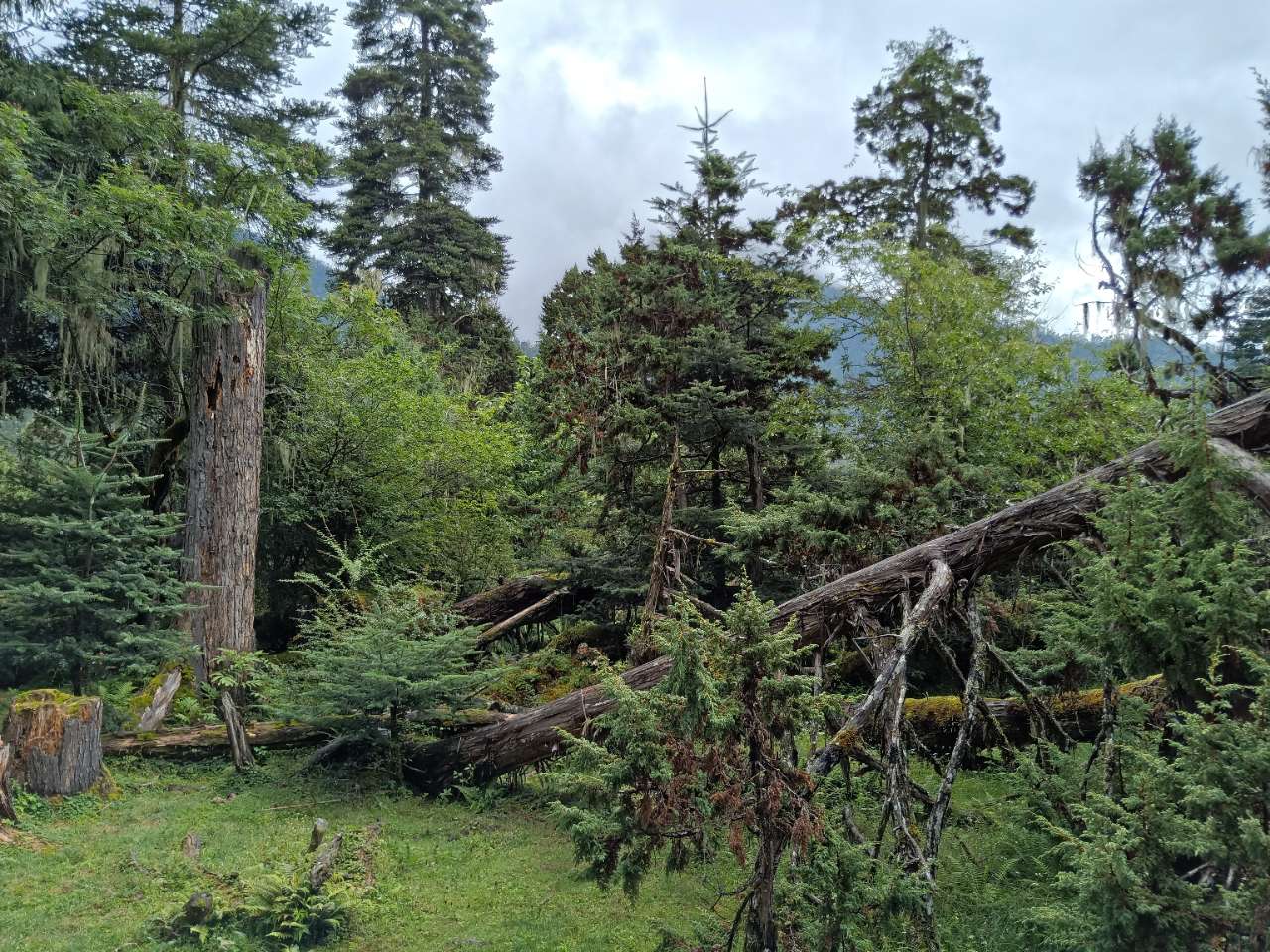 20180907_1639471_1536280891163.jpg