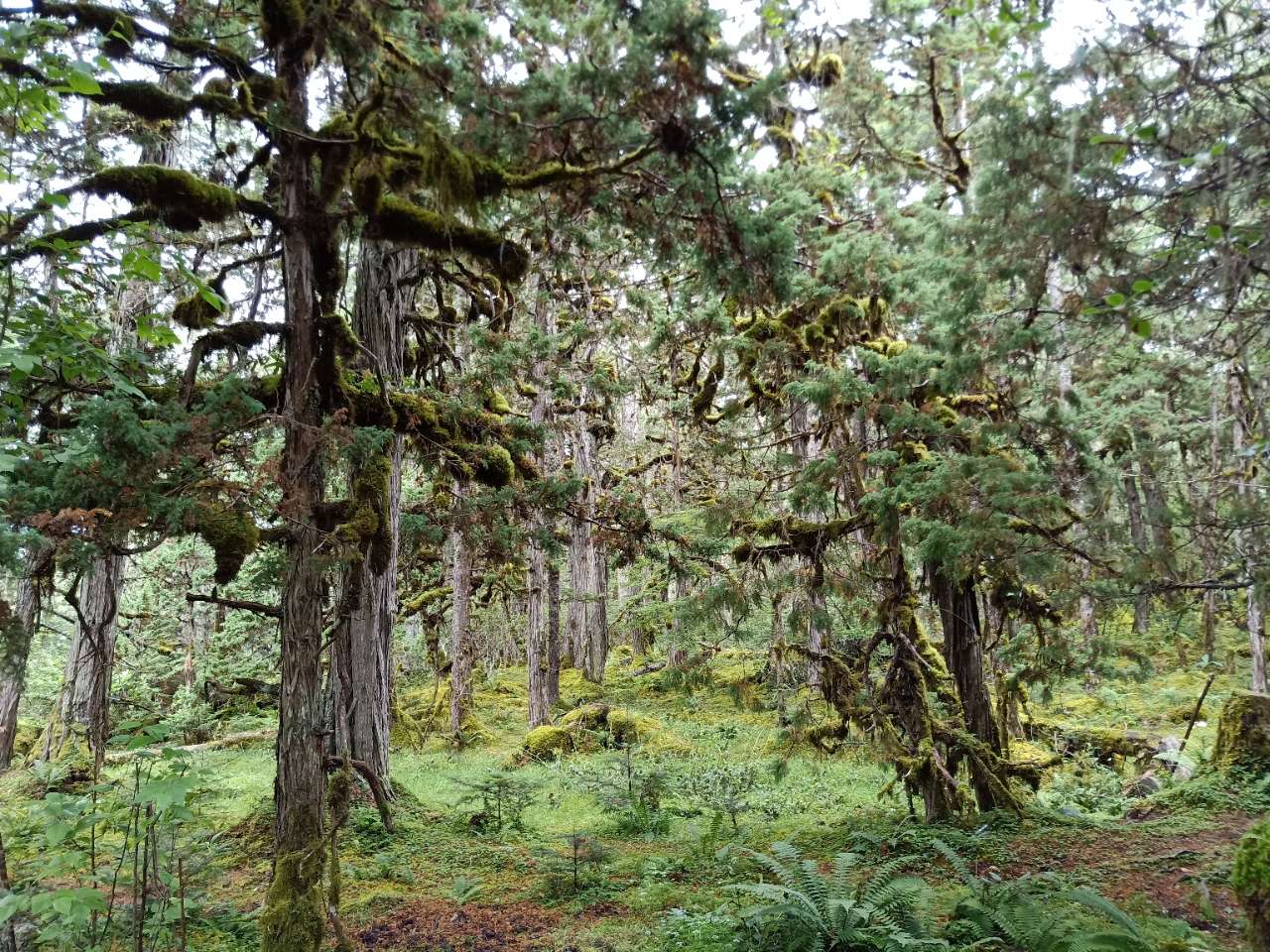 20180907_1639471_1536280890758.jpg