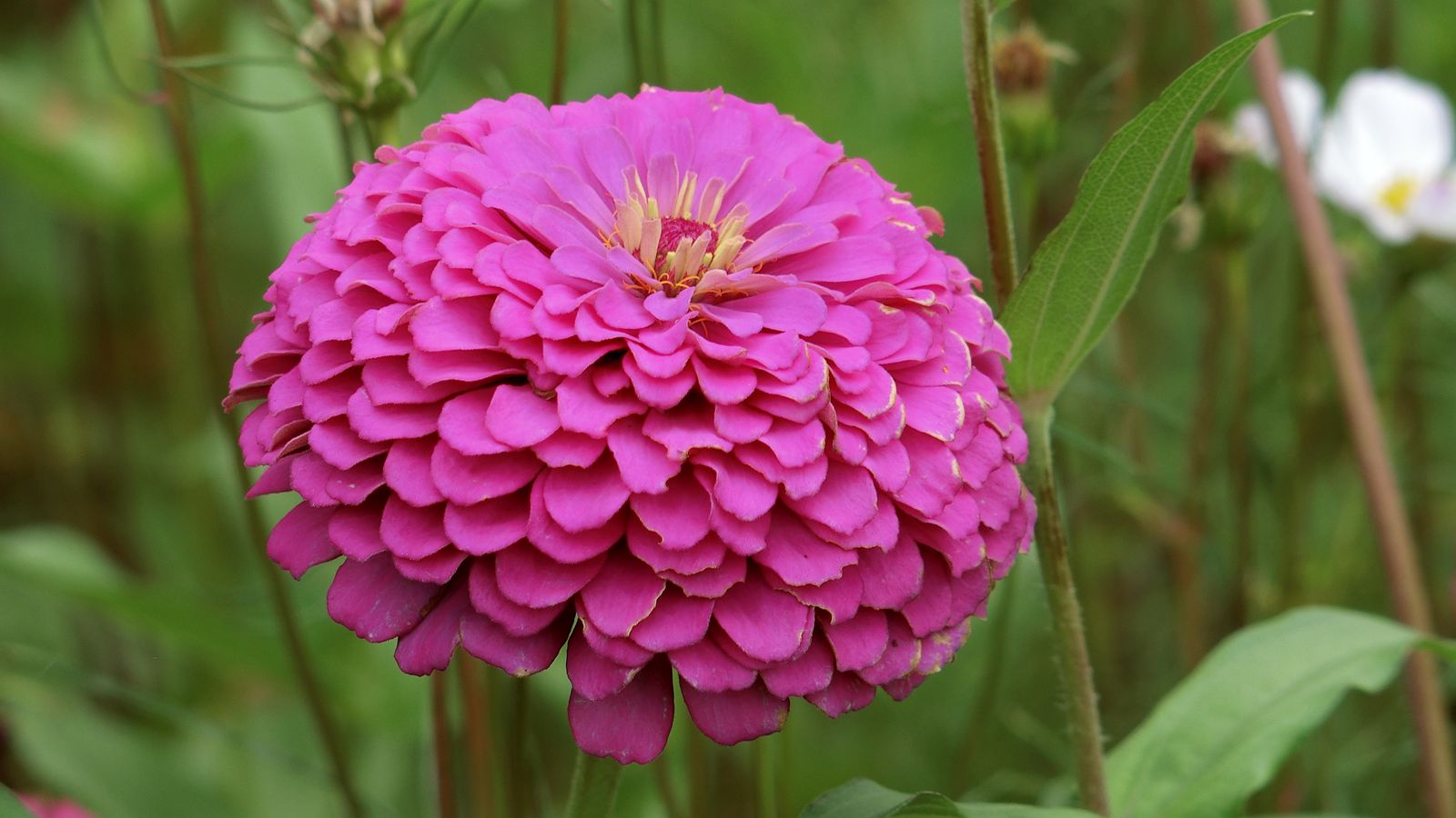 CIMG0181_鍓湰.jpg