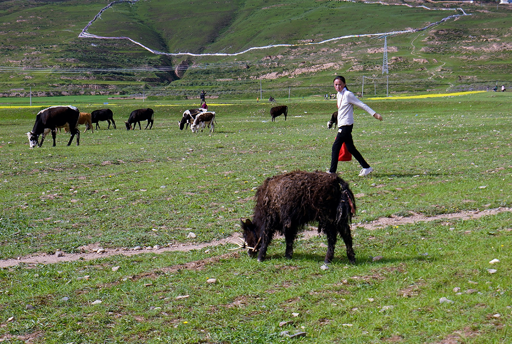 _DSC8087.jpg