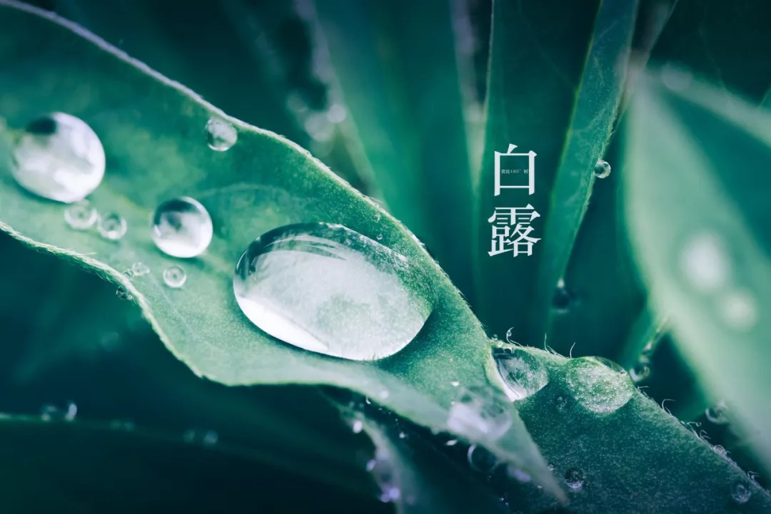 f07825bb68cf4788a4d19c4b0f90f4d8.jpeg