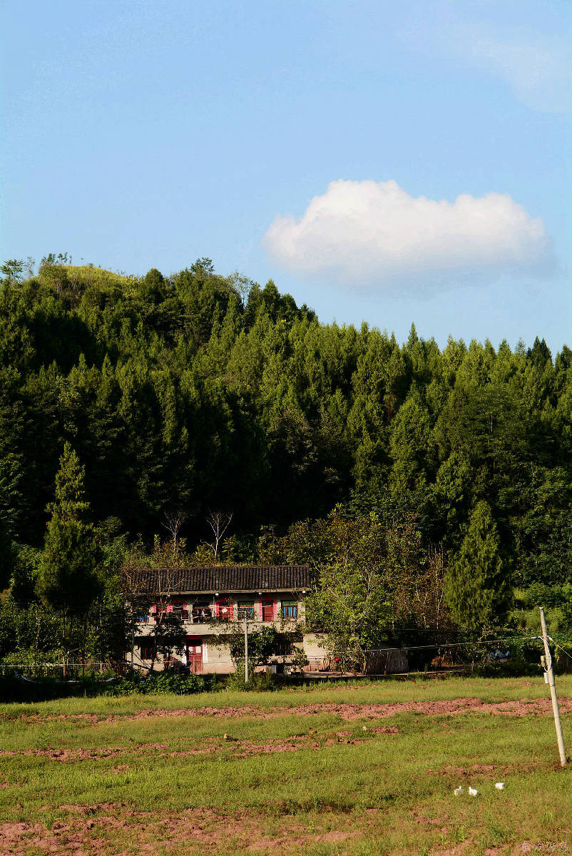 产业