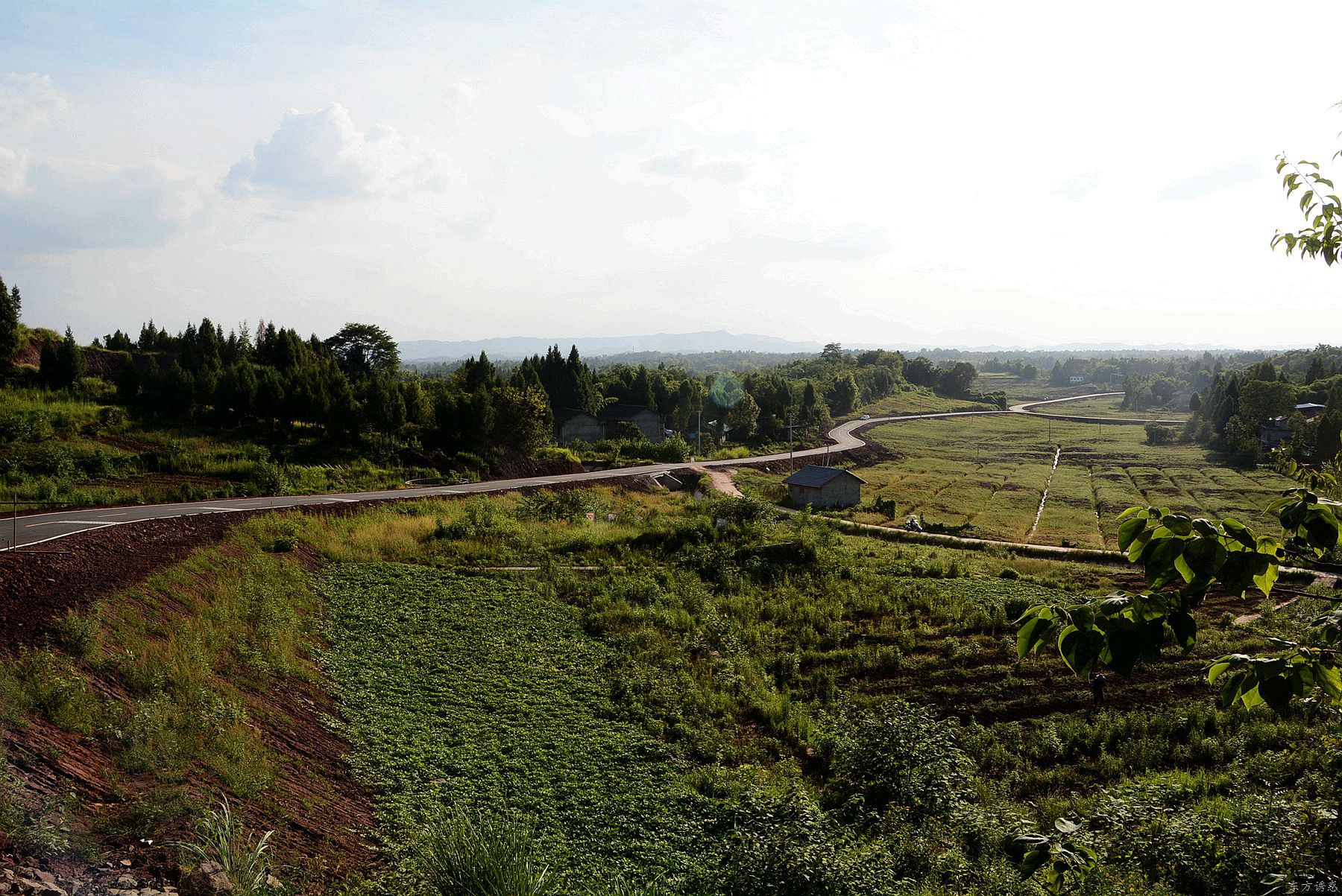 打造营山的"66号公路-丰产至法堂农业产业园道路