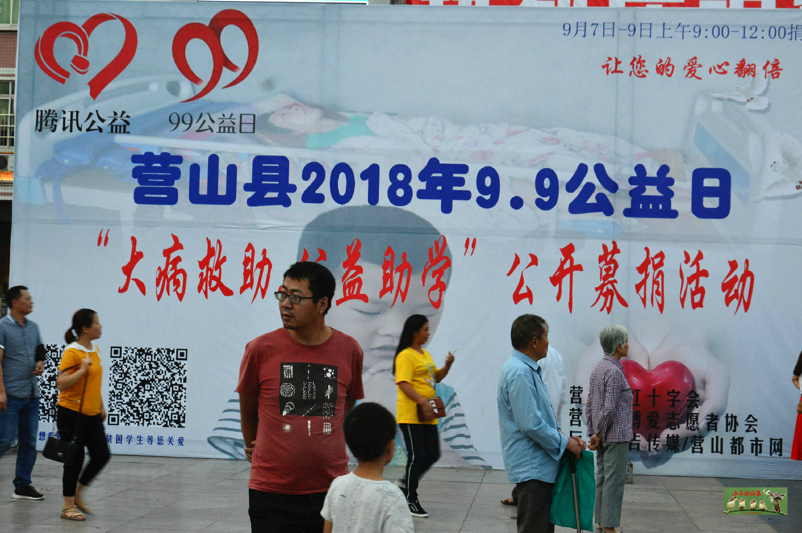 DSC_0046_爱奇
