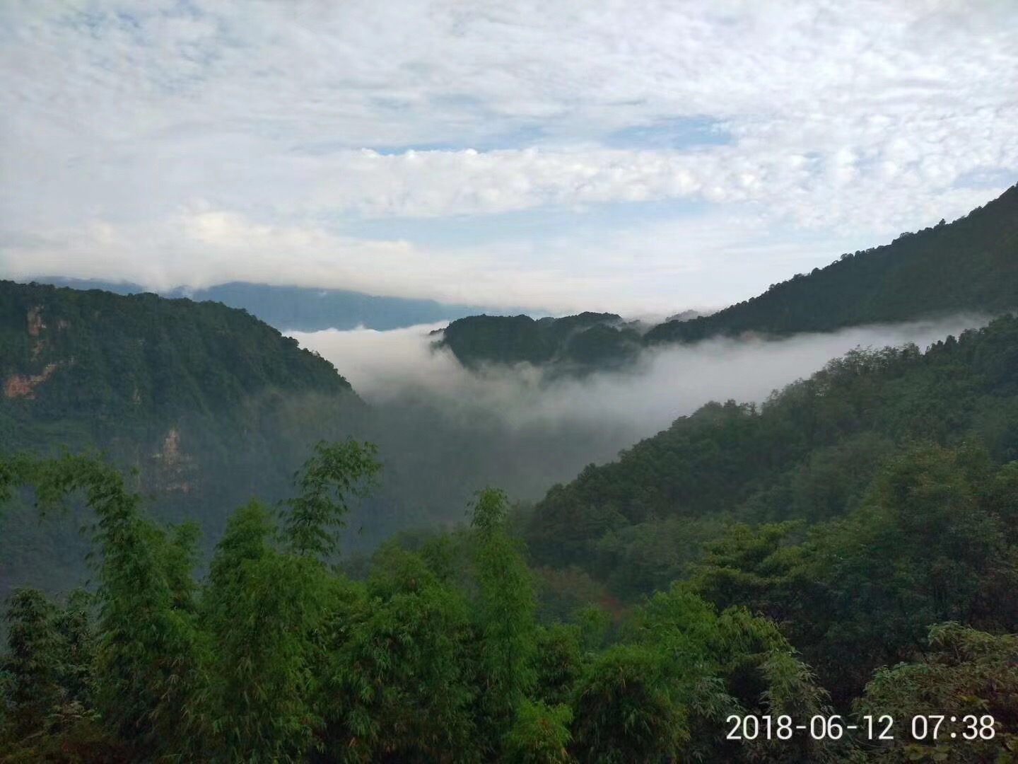 第十八届蒙顶山茶文化旅游节线上发布，春游雅安的精品线路来了_四川在线