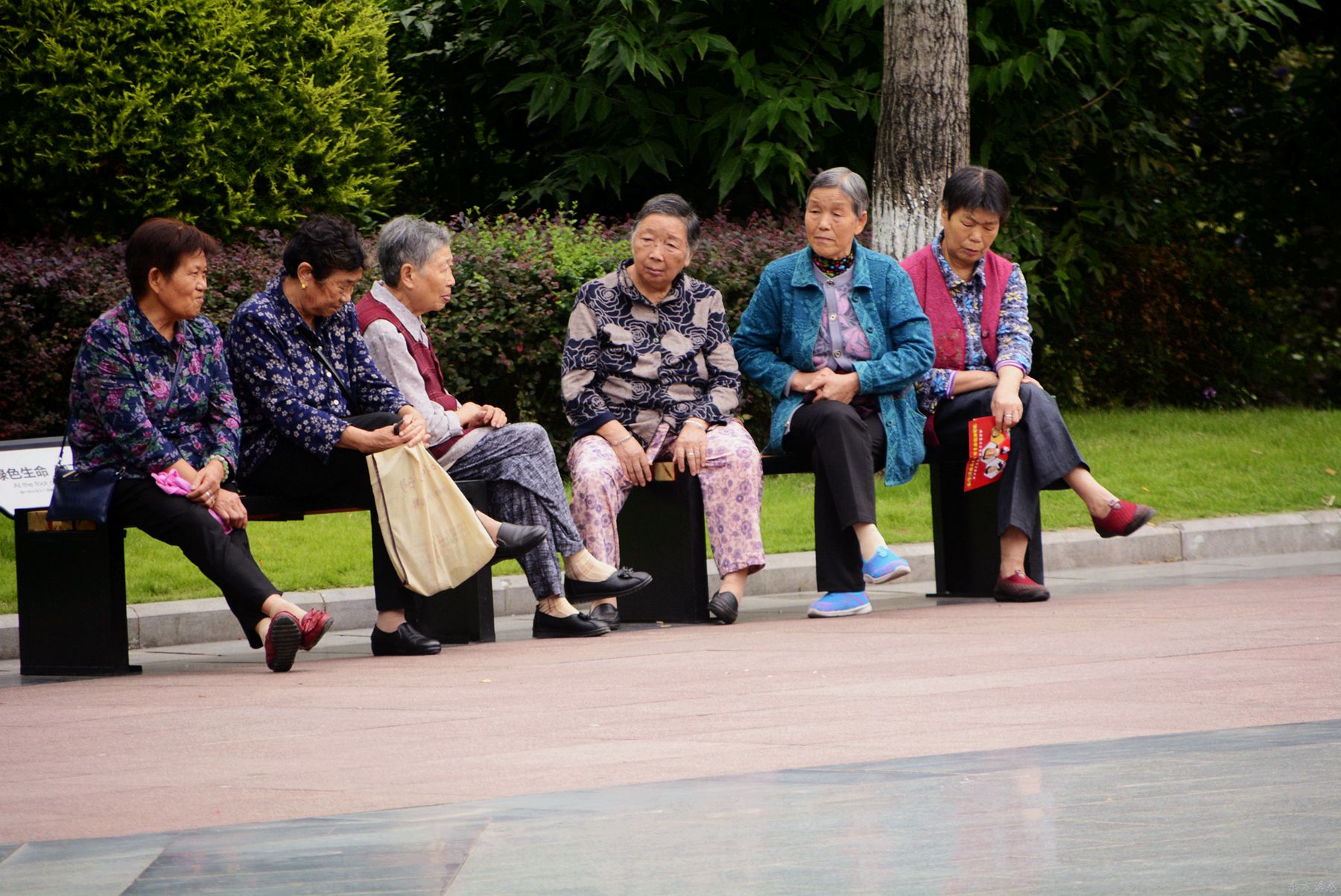 白塔公园28.jpg