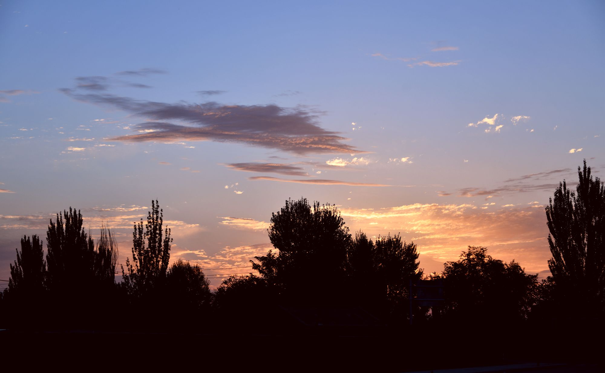 DSC_7129.JPG