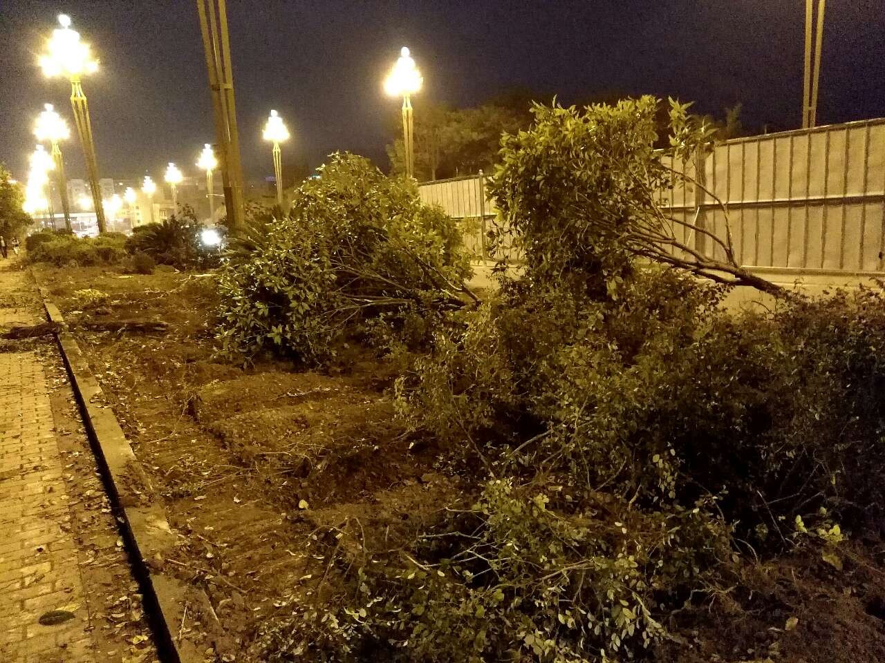 20180911_2192752_1536673044143.jpg