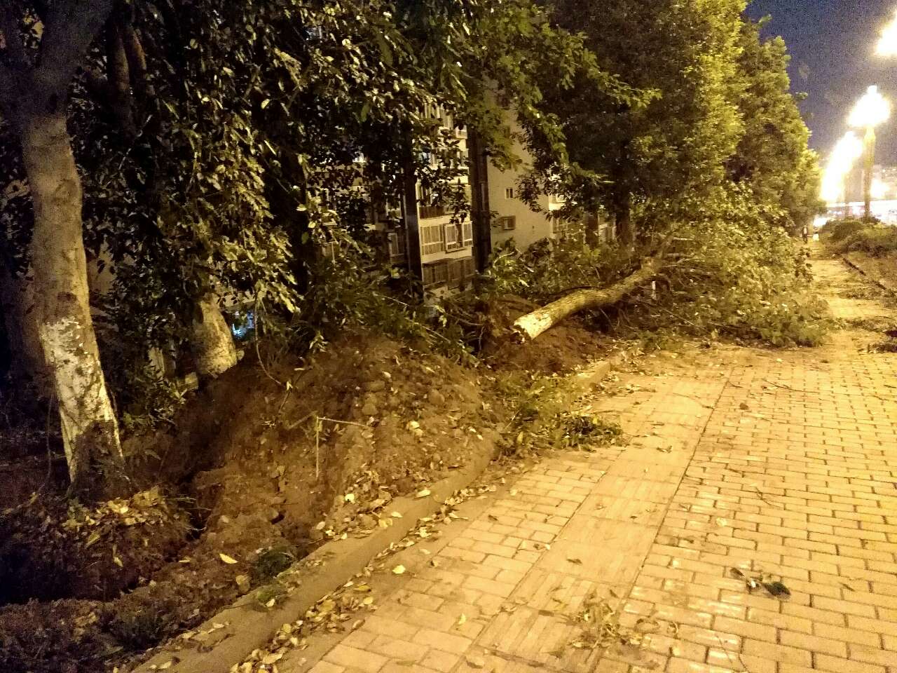 20180911_2192752_1536673044407.jpg
