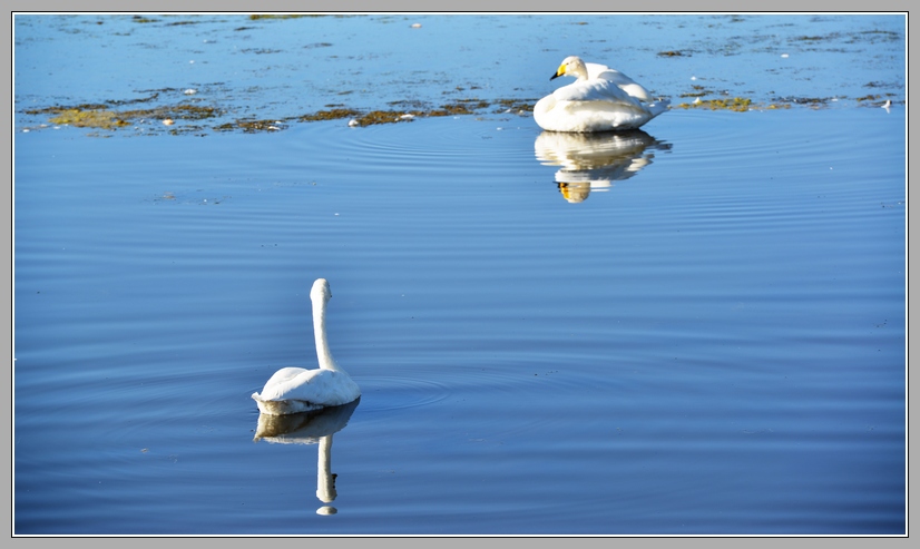 DSC_3208.JPG