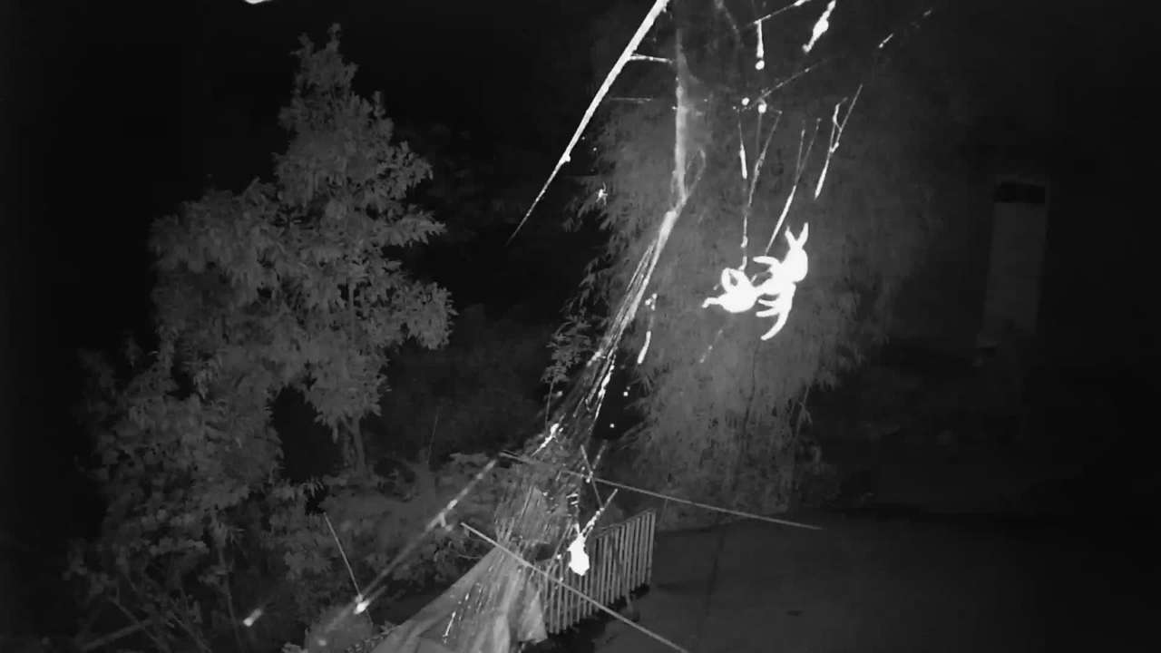 20180913_1348414_1536846608479.jpg