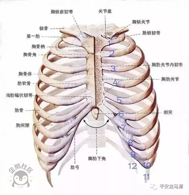 泸州一男子当街暴打老婆只因其和陌生人说话