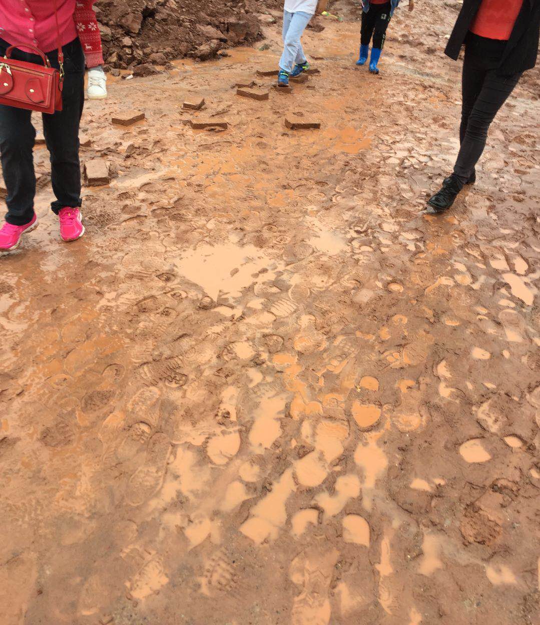 ���ߵ�С������