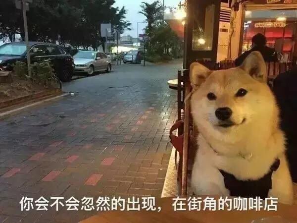20180914175133.jpeg
