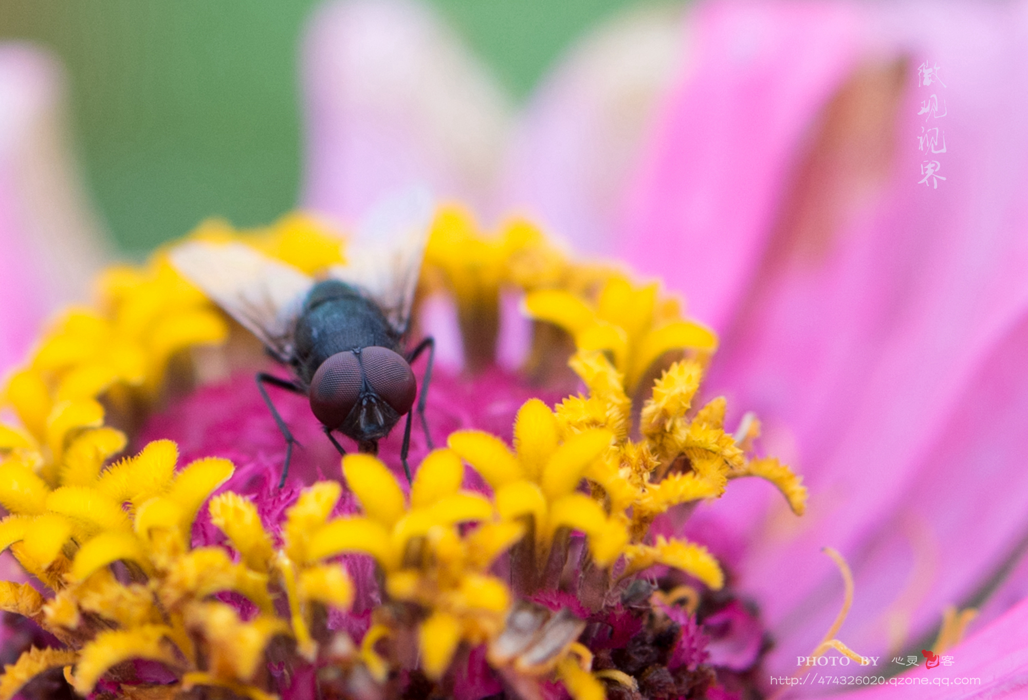 DSC_1045.jpg
