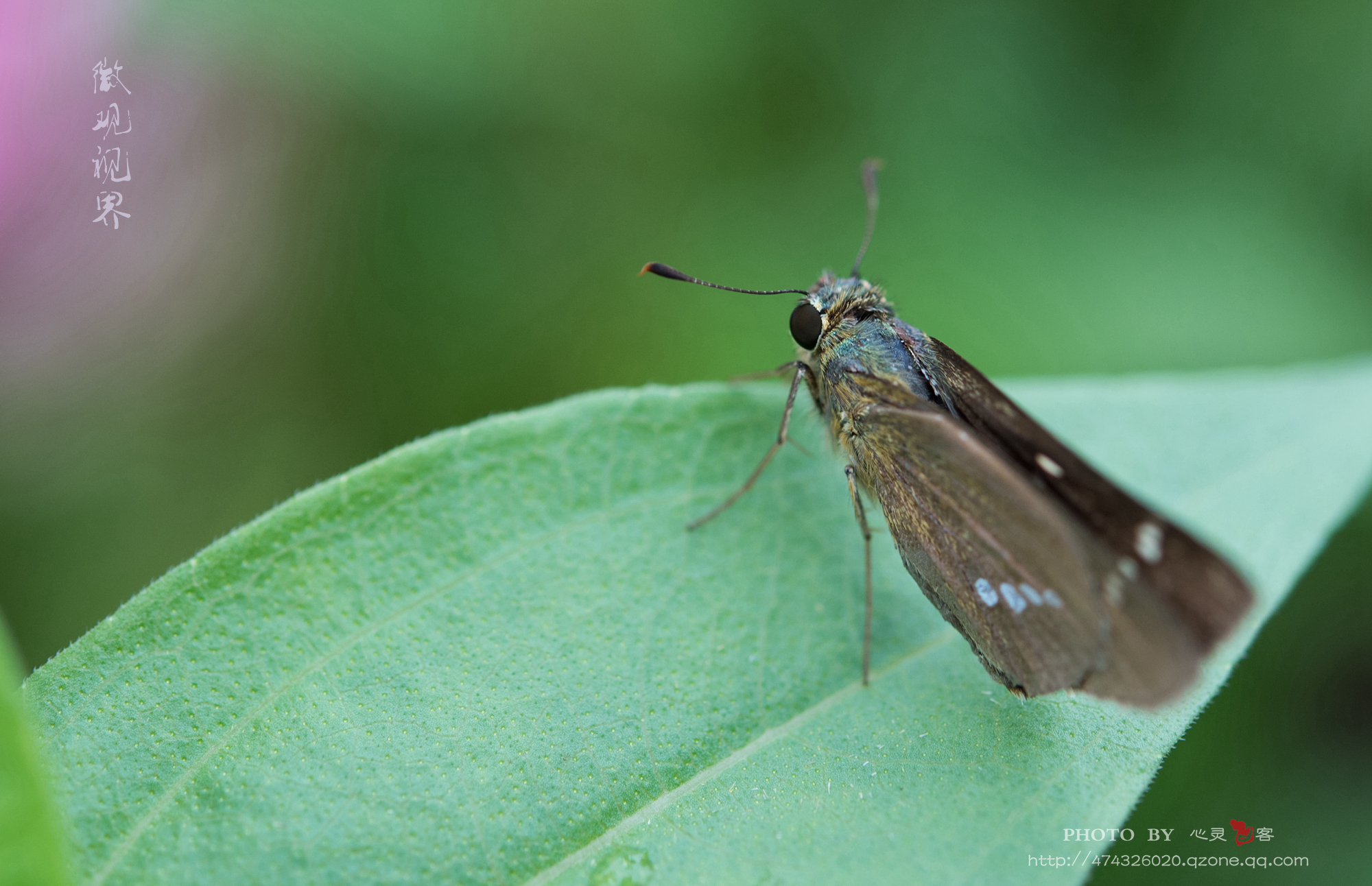 DSC_1047.jpg