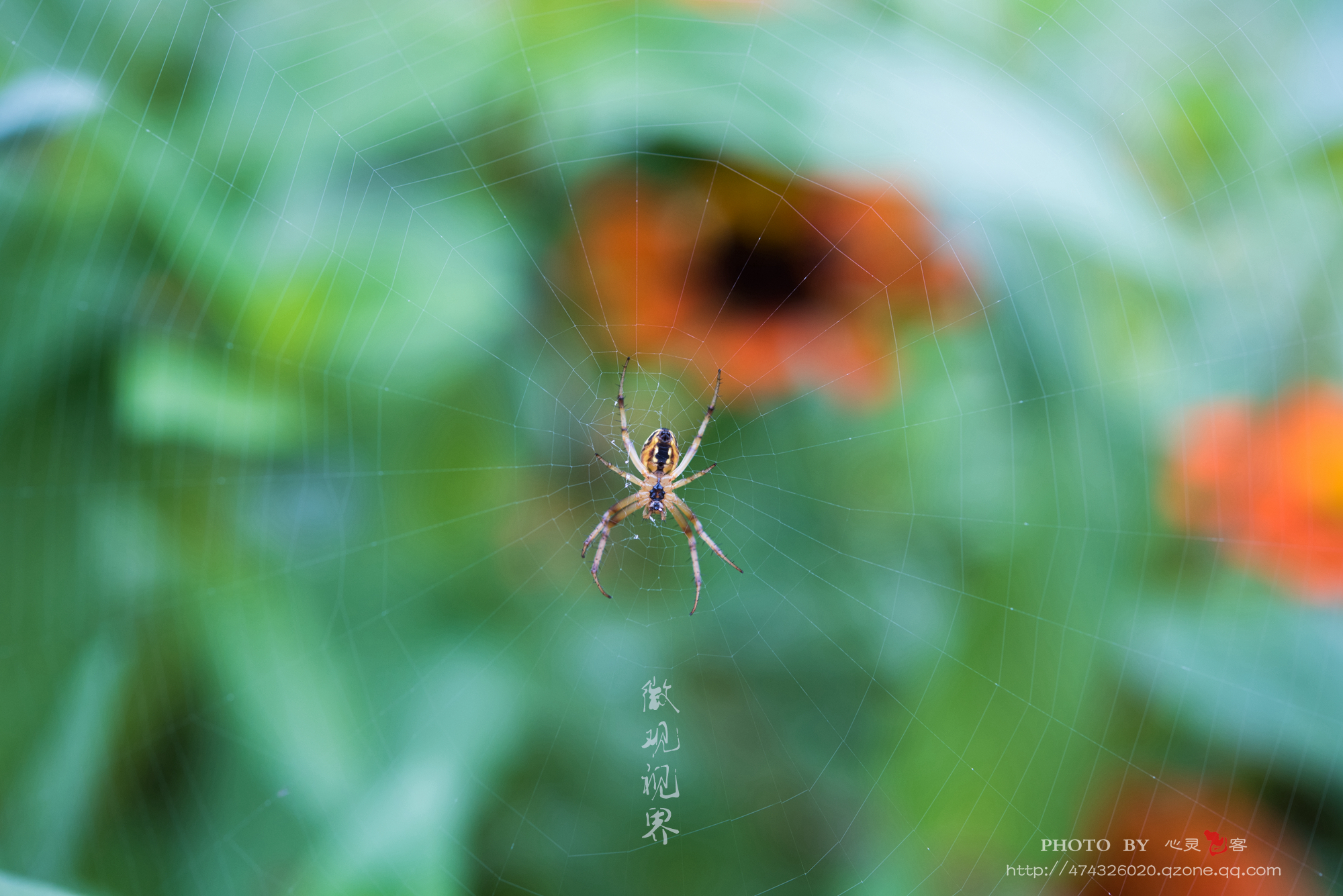 DSC_1076.jpg