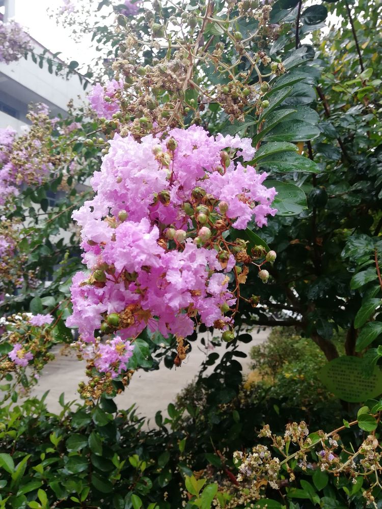 565e2fcfc9204b1697d27f345c860fb2 (1).jpg