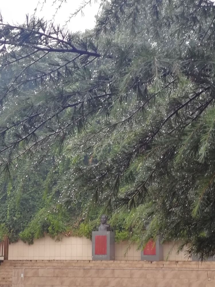 19fe6f4673104a5da9b6dc4c5cf0fb63 (1).jpg