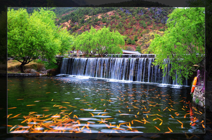 54846283_5.octet-stream.jpg