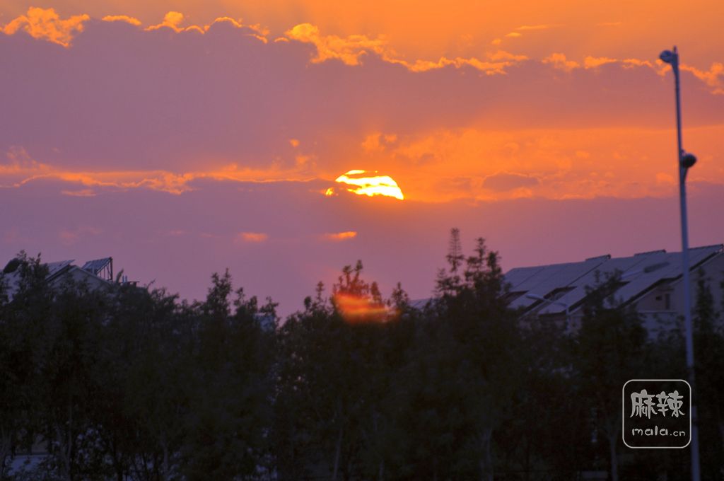 DSC_0239_.jpg